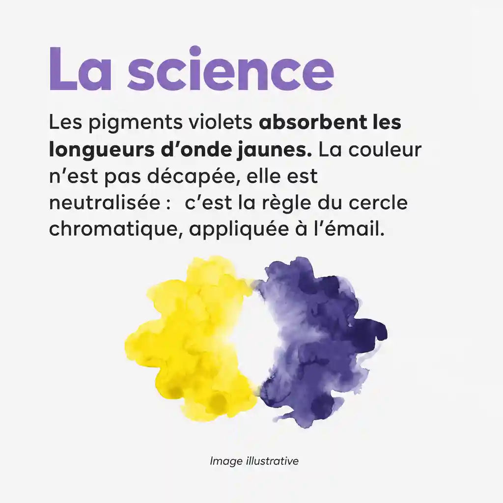 MR.SMILE - La science - Les pigments violets absorbent les longueurs d'onde jaunes