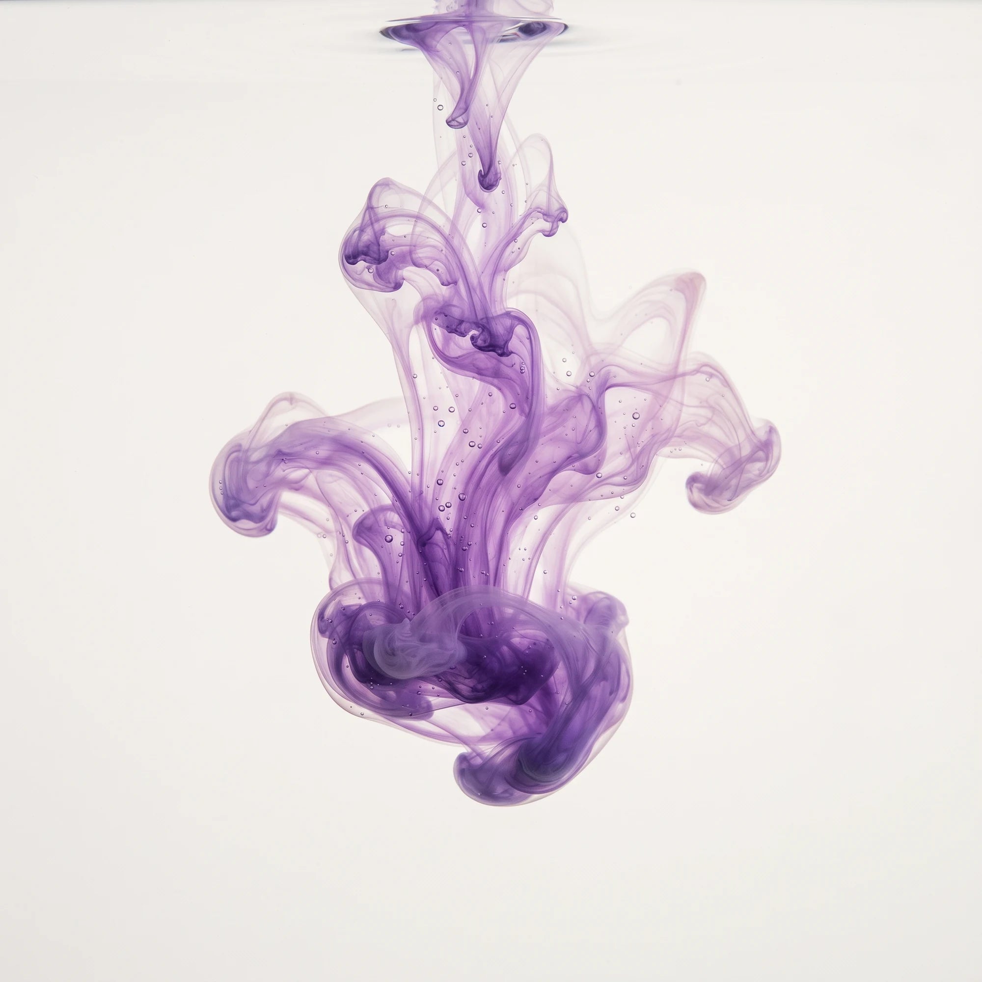 Pigments violets se diffusant dans l'eau : la correction optique qui neutralise les reflets jaunes
