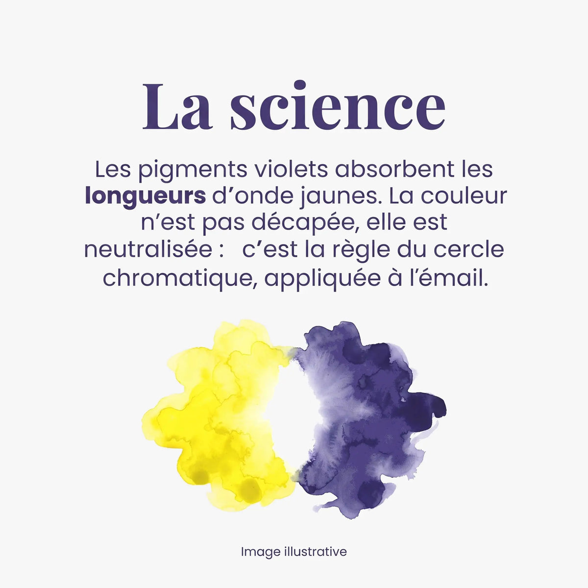 La science — les pigments violets neutralisent les longueurs d'onde jaunes